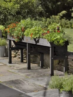 VegTrug® Wallhugger, 18" X 72" -Outdoor Garden Care 8587836CO 001 tif