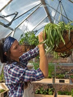 Canopia® By Palram Balance Greenhouse, 8' X 12' -Outdoor Garden Care 8588023 07V jpg