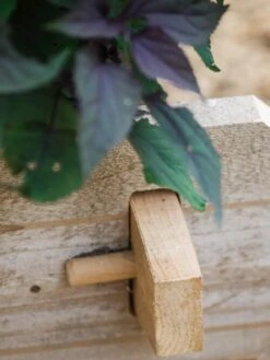 Farmstead Cedar Raised Garden Beds, 2' -Outdoor Garden Care 8588144 12V tif