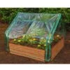 Extendable Cold Frame Greenhouse -Outdoor Garden Care 8588247 03V extendable cold frame greenhouse