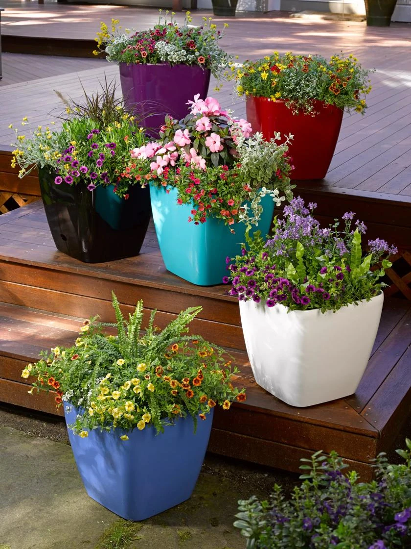 Viva Square Self-Watering Rolling Planter, 14" Diameter 3 Viva Square Self-Watering Rolling Planter, 14" Diameter