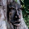 Friendly Ent Tree Face -Outdoor Garden Care 8589841 001v