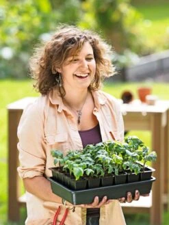 Growease Seed Starter Kit -Outdoor Garden Care 8589987 0446 tif