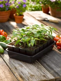 Growease Seed Starter Kit -Outdoor Garden Care 8589987 1148 tif