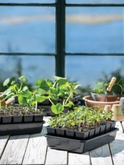 Growease Seed Starter Kit -Outdoor Garden Care 8589987 7871 tif