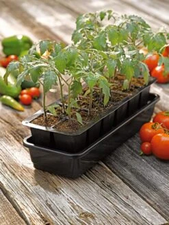 Growease Seed Starter Kit -Outdoor Garden Care 8589988 1056 tif