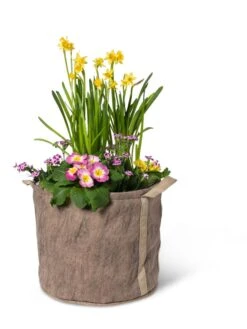 Gardener's Best® Universal Grow Bag -Outdoor Garden Care 8590024 7307 tif