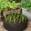 Garlic Grow Bag Kit 1 Garlic Grow Bag Kit -Outdoor Garden Care 8590676 0072 growing garlic grow bag kit