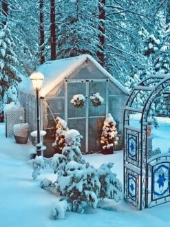 Canopia® By Palram Harmony™ Snap & Grow Greenhouse, 8' -Outdoor Garden Care 8591048 06V jpg