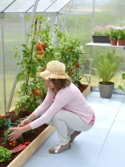 Canopia® By Palram Essence™ Greenhouse, 8' X 12' -Outdoor Garden Care 8591356 04V tif