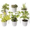 Low Light Terrarium Plant Collection, Set Of 6 -Outdoor Garden Care 8591770 3595 tif