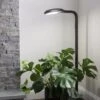 Agrobrite Floor Plant Lamp -Outdoor Garden Care 8592053 0215 tif