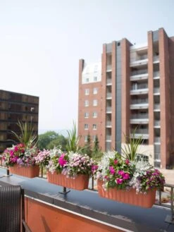 Adjustable Self-Watering Railing Planter, 24" -Outdoor Garden Care 8592173TC 2383 tif