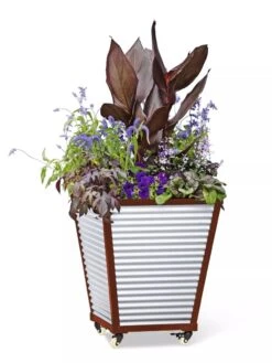 Galvanized Self-Watering Planters -Outdoor Garden Care 8592177 5066 tif