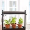 Micro Grow Light Garden -Outdoor Garden Care 8593235 2290 tif