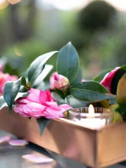 Rectangular Copper Plant Tray, 18"x4" -Outdoor Garden Care 8593532 02IN tif