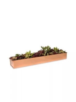 Rectangular Copper Plant Tray, 18"x4" -Outdoor Garden Care 8593532 2892 tif