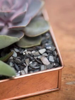 Rectangular Copper Plant Tray, 24" X 5" -Outdoor Garden Care 8593533 4570 tif