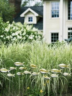 Fish Out Of Water Garden Stakes, Set Of 5 14 Fish Out Of Water Garden Stakes, Set Of 5 -Outdoor Garden Care 8593672 9124 tif