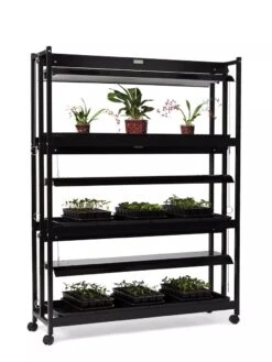 High Intensity 3-Tier SunLite® Garden -Outdoor Garden Care 8593944 1608 tif