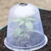 Large Garden Cloches, Set Of 3 1 Large Garden Cloches, Set Of 3 -Outdoor Garden Care 8593984 345 tif