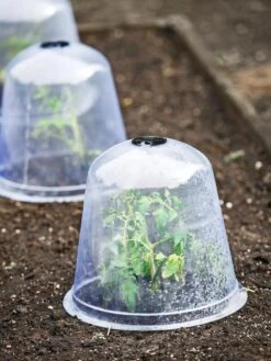 Large Garden Cloches, Set Of 3 -Outdoor Garden Care 8593984 9432 tif