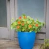 Viva Round Self-Watering Rolling Planter, 17.25” Diameter 1 Viva Round Self-Watering Rolling Planter, 17.25” Diameter -Outdoor Garden Care 8594077 0087 tif