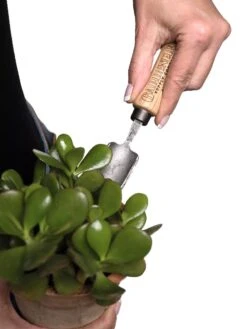Gardener's Lifetime Mini Trowel -Outdoor Garden Care 8594146 0111 tif