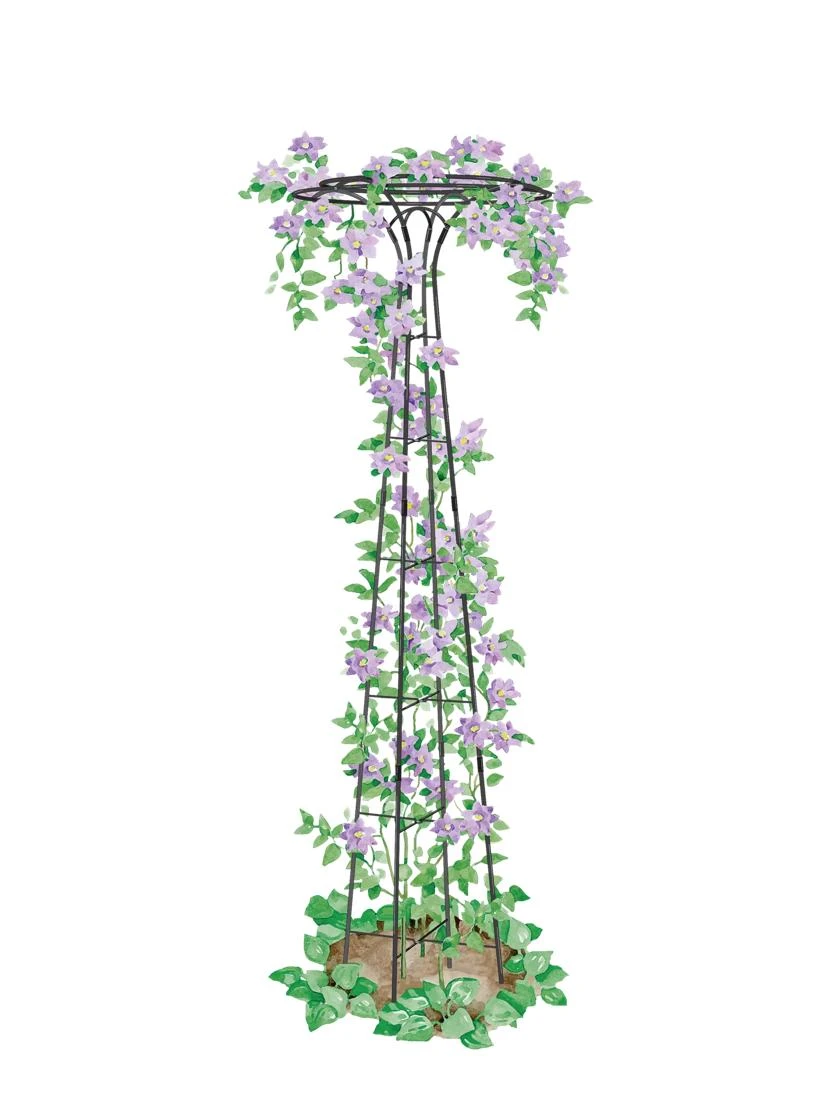 Essex Tuteur, 63" 3 Essex Tuteur, 63"