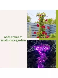 Essex Tuteur, 63" 13 Essex Tuteur, 63" -Outdoor Garden Care 8594162 3