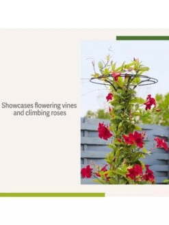 Essex Tuteur, 63" 12 Essex Tuteur, 63" -Outdoor Garden Care 8594162 4