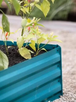 Demeter Corrugated Metal Raised Bed, 34" X 34" -Outdoor Garden Care 8594183 470 tif