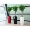 Lechuza® Rondo Self-Watering Planters