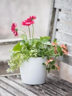 Viva Round Self-Watering Planter, 7" Diameter -Outdoor Garden Care 8595222 1139 tif