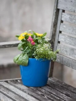 Viva Round Self-Watering Planter, 7" Diameter -Outdoor Garden Care 8595222 1143 tif