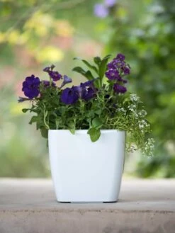 Viva Square Self-Watering Planter, 7" Diameter -Outdoor Garden Care 8595223 1118 tif