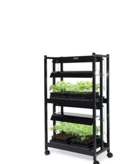 LED SunLite® Compact 2-Tier Garden 12 LED SunLite® Compact 2-Tier Garden -Outdoor Garden Care 8595556 10132 tif