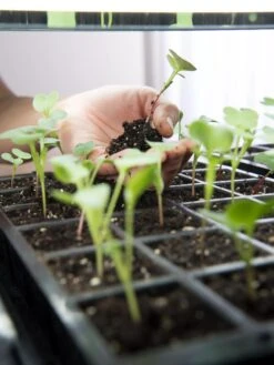 LED Stack-n-Grow Lights - Base Unit -Outdoor Garden Care 8595770 7373 tif