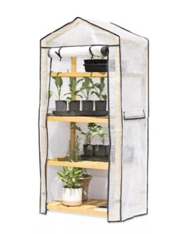 VegTrug® Patio Greenhouse -Outdoor Garden Care 8595803 7136 tif