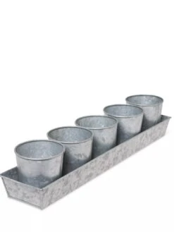 Galvanized Herb Planters With Rectangular Tray -Outdoor Garden Care 8595903 3924 tif