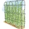 Titan Pea Tunnel -Outdoor Garden Care 8596275 0002 1 tif
