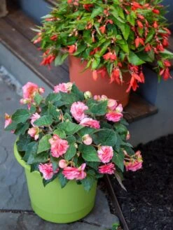 Eezy Gro Self-Watering Planters 11 Eezy Gro Self-Watering Planters -Outdoor Garden Care 8596427 0034 tif