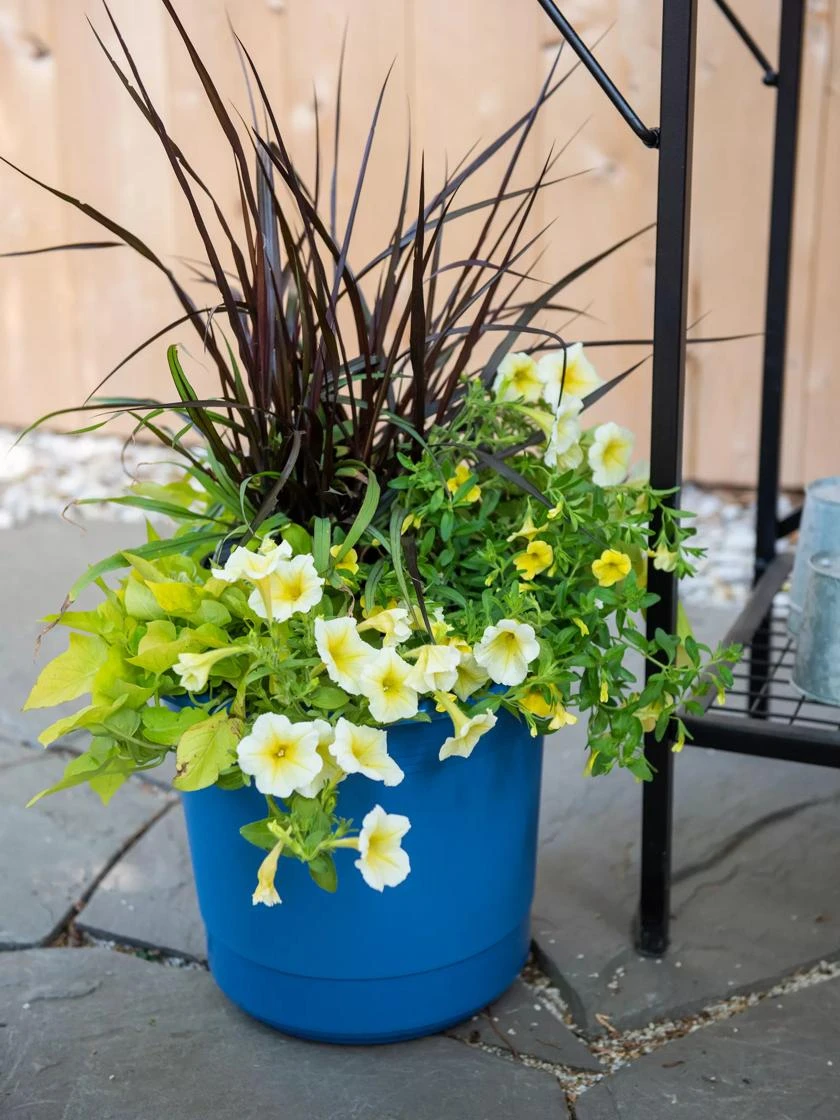 Eezy Gro Self-Watering Planters 4 Eezy Gro Self-Watering Planters - Image 2