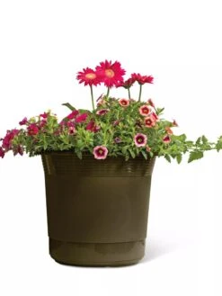 Eezy Gro Self-Watering Planters 12 Eezy Gro Self-Watering Planters -Outdoor Garden Care 8596427 108 tif