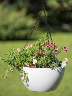 Viva Self-Watering Hanging Basket, 14" Diameter -Outdoor Garden Care 8596442 0864 tif