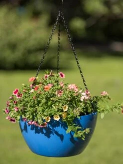 Viva Self-Watering Hanging Basket, 14" Diameter -Outdoor Garden Care 8596442 0876 tif