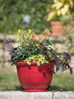 Mazzano Self-Watering Planters 13 Mazzano Self-Watering Planters -Outdoor Garden Care 8596564 4883 tif
