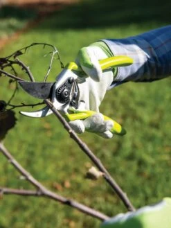 Gardener's Pro Pruner #2 -Outdoor Garden Care 8596605 032 tif