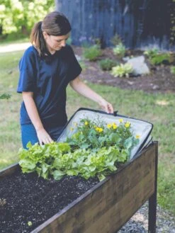 Pop-Up Crop Protector -Outdoor Garden Care 8596763 EasyCropProtector gif