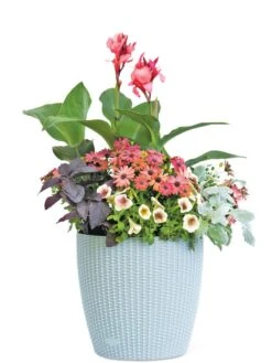 Weave Self-Watering Round Planter, 14" -Outdoor Garden Care 8597388 2175 tif
